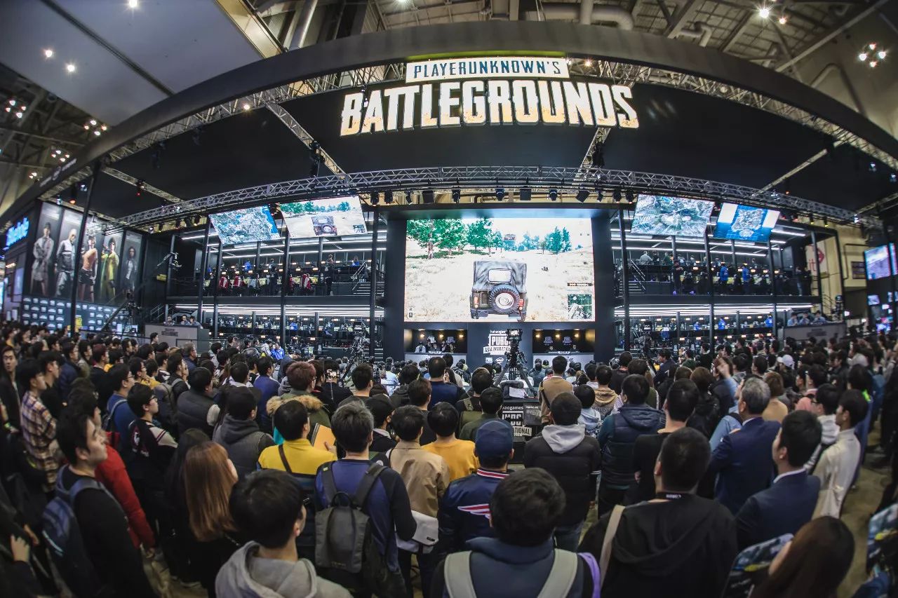 关键小鸟 关键小鸟